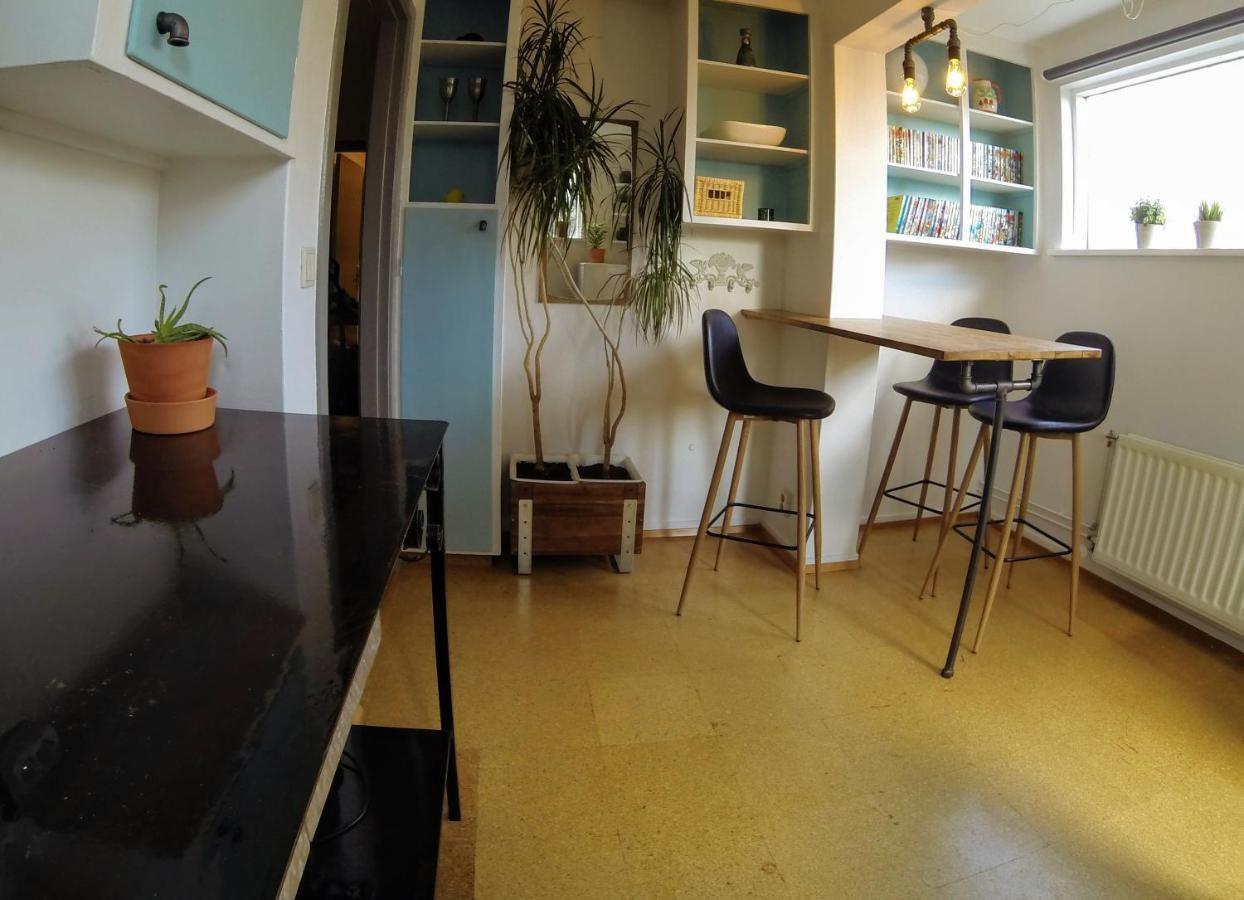 Skjolbraut - Cozy Apartment - Central Location - Free Parking - Close To A Public Swimming Pool And Sky Lagoon Reykjavik Ngoại thất bức ảnh